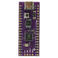 RP2040-PURPLE (5)