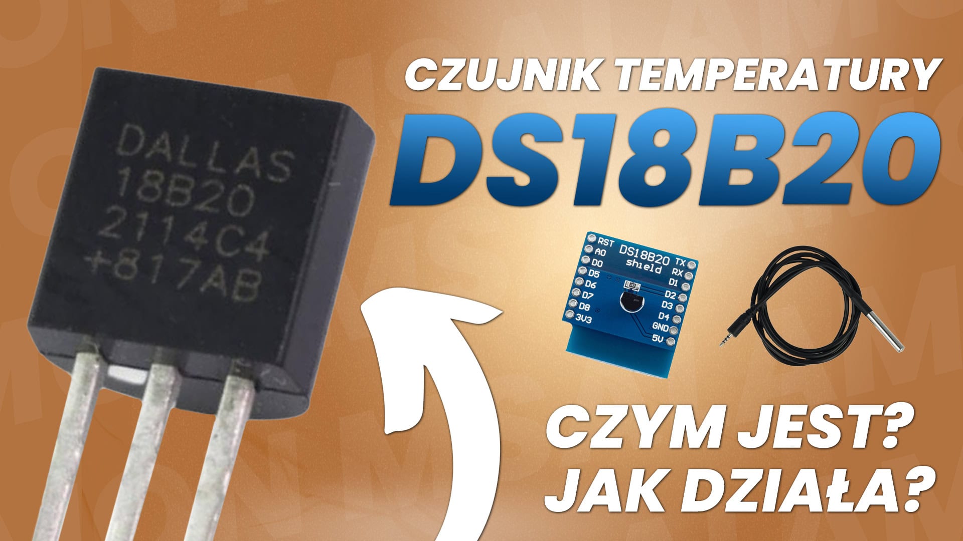 Czujnik temperatury DS18B20 – czym jest i jak działa?